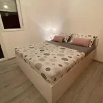 Domagoj Omis
